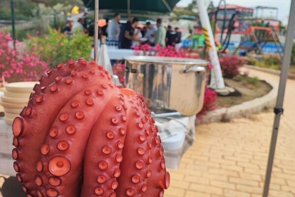 pulpo polbo enxebre catering carballiño2